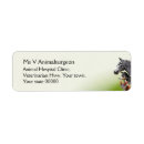Search for caring return address labels Veterinarian