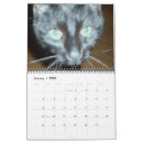 Recherche de chat noir calendriers Animal