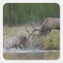 Search for nps stickers Wildlife