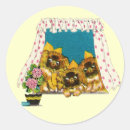 Search for pekingese stickers Cute