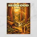 Search for park postcards Sequoia