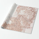 Search for topographic map wrapping paper Vintage