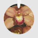 Search for orchid ornaments Photography