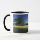 Search for smokey mugs Park