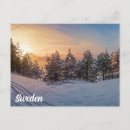 Search for frozen postcards Forest