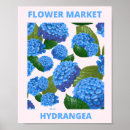Search for vintage hydrangea posters Pink