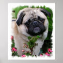 Search for pug art Pets