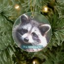 Search for cute racoon ornaments Animals