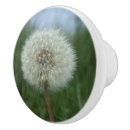 Search for seedhead Nature