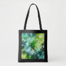 Search for apophysis accessories Abstract