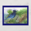 Search for jay horizontal postcards Wild