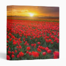 Search for bulb avery binders Netherlands