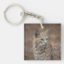 Recherche de de lynx porteclés Nature
