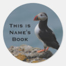 Search for puffins stickers Bird
