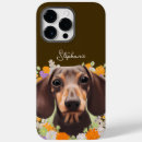 Search for cute dachshund iphone cases Doxie