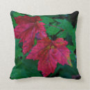 Search for new england pillows Foliage