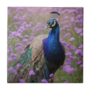 Search for peacock blue tiles Bird