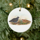 Search for quail ornaments Wildlife