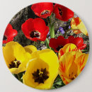 Search for tulip photos buttons Flowers