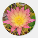 Recherche de fleur lotus magnets Asiatique