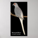 Search for doves posters Animals