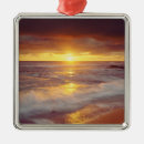 Search for usa ornaments Pacific ocean