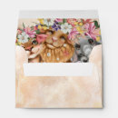 Search for safari envelopes Lion
