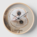 Search for barn owl clocks Cute