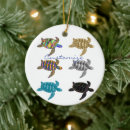 Search for sea turtle ornaments Swimming