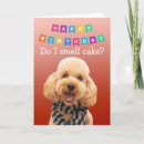 Search for poodle cards Humour