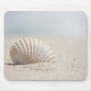 Search for mollusk electronics Beach