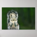 Search for backyard posters Nature