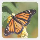 Recherche de papillon monarque orange autocollants Faune