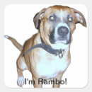 Search for pet angels stickers Dog