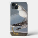 Search for beak ipad cases Early