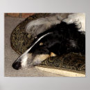 Search for wolfhound art Russian