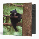 Search for black forest binders Tree