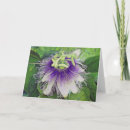 Recherche de comestible vœux cartes Floral