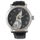 Search for budgie bird Cockatiel