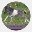 Recherche de poulains mignons autocollants Chevaux