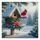 Recherche de cardinaux posters Faune