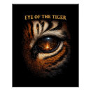 Recherche de tigres posters Jungle
