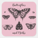 Recherche de mites autocollants Papillon