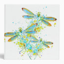 Search for dragonfly binders Insect