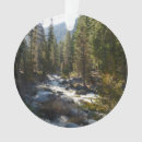 Search for sequoia national park ornaments Forest
