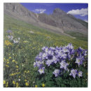 Recherche de montagne carreaux Vert