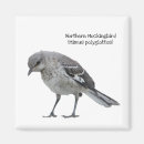 Search for birdwatchers magnets Wildlife