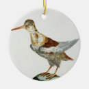 Search for engraved ornaments Coloured