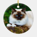 Search for siamese cat ornaments Feline