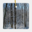 Recherche de neigeux ornements Forêt